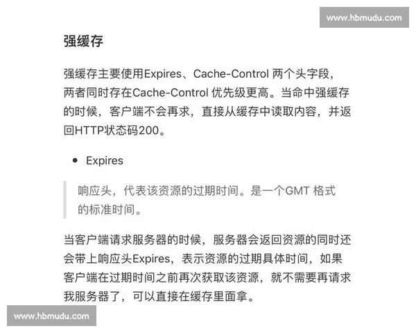 体育赛事分析基本思路与实战应用全流程解析方法框架深度指南详解