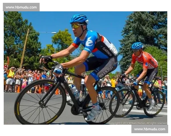 全面解析体育投注策略与技巧提升胜率的实用指南 全面解析体育投注策略与技巧提升胜率的实用指南