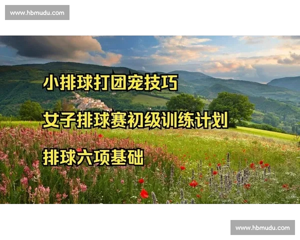 排球运动的魅力与技巧探秘 从基础训练到比赛战略全方位解析 排球运动的魅力与技巧探秘 从基础训练到比赛战略全方位解析
